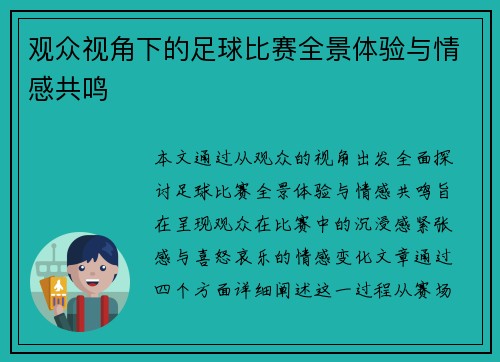 观众视角下的足球比赛全景体验与情感共鸣
