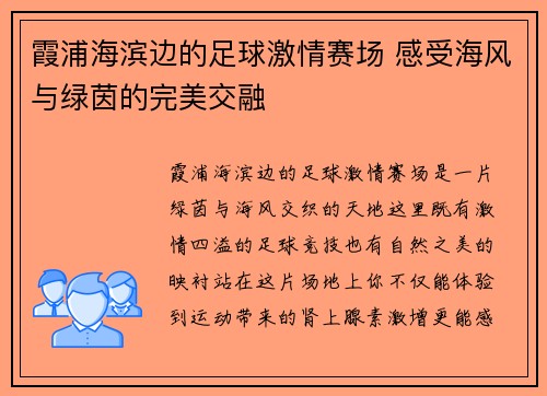 霞浦海滨边的足球激情赛场 感受海风与绿茵的完美交融