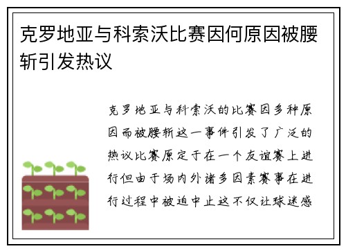 克罗地亚与科索沃比赛因何原因被腰斩引发热议