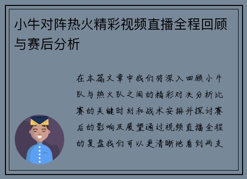 小牛对阵热火精彩视频直播全程回顾与赛后分析