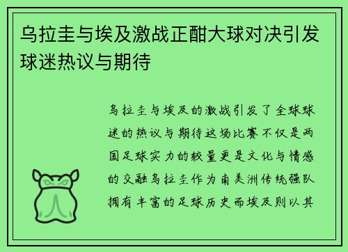 乌拉圭与埃及激战正酣大球对决引发球迷热议与期待