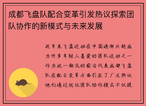 成都飞盘队配合变革引发热议探索团队协作的新模式与未来发展